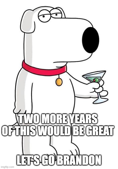 Biden Fail Midterm Democrat loss | TWO MORE YEARS OF THIS WOULD BE GREAT; LET'S GO BRANDON | image tagged in sarcastic brian griffin | made w/ Imgflip meme maker