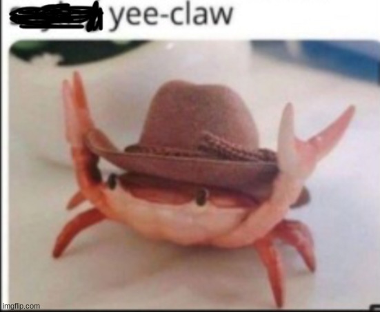 yee claw | image tagged in yee claw | made w/ Imgflip meme maker