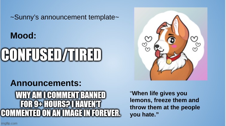 *confused sheltie noises* | CONFUSED/TIRED; WHY AM I COMMENT BANNED FOR 9+ HOURS? I HAVEN'T COMMENTED ON AN IMAGE IN FOREVER. | image tagged in sunny's announcement template,furry,the furry fandom,announcement | made w/ Imgflip meme maker