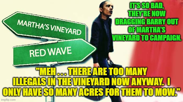 Good ol' barry soetoro. | IT’S SO BAD, THEY’RE NOW DRAGGING BARRY OUT OF MARTHA’S VINEYARD TO CAMPAIGN. "MEH . . . THERE ARE TOO MANY ILLEGALS IN THE VINEYARD NOW ANYWAY.  I ONLY HAVE SO MANY ACRES FOR THEM TO MOW." | made w/ Imgflip meme maker