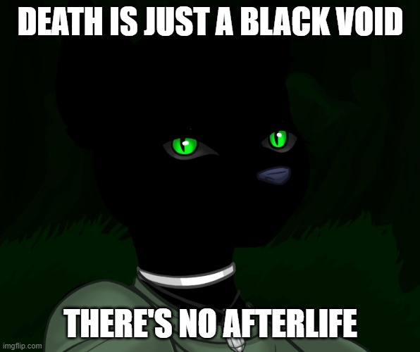 My new panther fursona | DEATH IS JUST A BLACK VOID; THERE'S NO AFTERLIFE | image tagged in my new panther fursona | made w/ Imgflip meme maker