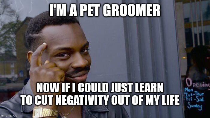 Think about it | I'M A PET GROOMER; NOW IF I COULD JUST LEARN TO CUT NEGATIVITY OUT OF MY LIFE | image tagged in memes,roll safe think about it,groomer,dog grooming,positivity | made w/ Imgflip meme maker