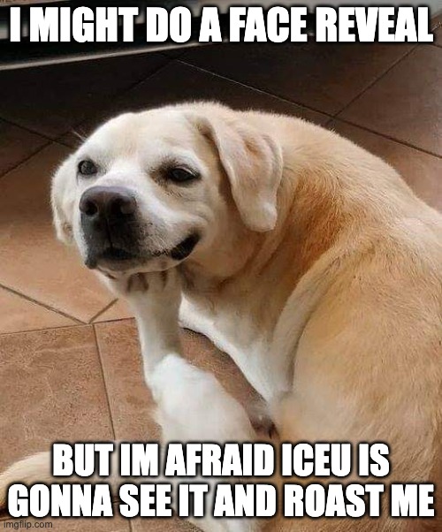 i dont want to be roasted by the meme gods themselves | I MIGHT DO A FACE REVEAL; BUT IM AFRAID ICEU IS GONNA SEE IT AND ROAST ME | image tagged in dog thinking | made w/ Imgflip meme maker