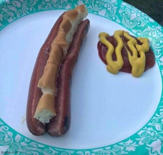 would you like a dog-hot | image tagged in memes,msmg | made w/ Imgflip meme maker