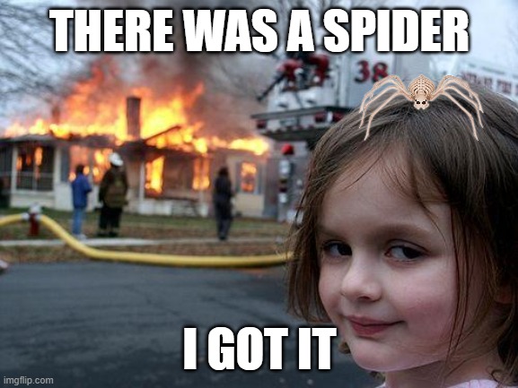 Disaster Girl | THERE WAS A SPIDER; I GOT IT | image tagged in memes,disaster girl | made w/ Imgflip meme maker