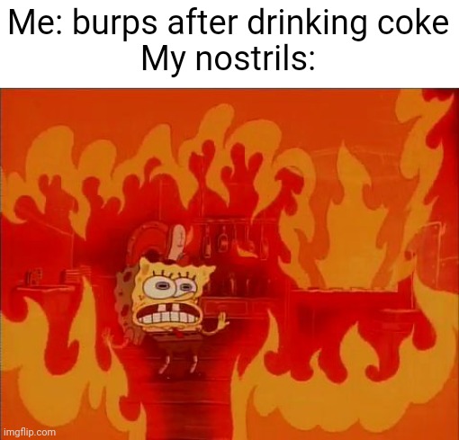 But it's true | Me: burps after drinking coke
My nostrils: | image tagged in burning spongebob,coke,nose | made w/ Imgflip meme maker