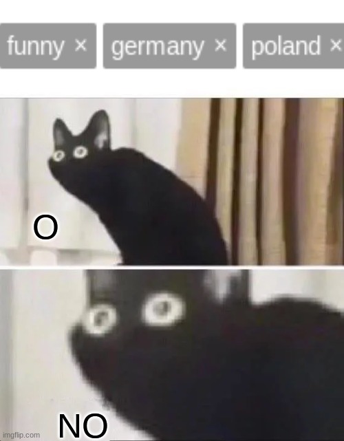 Here we go again | O; NO | image tagged in oh no black cat,ww2,poland,germany,funny memes | made w/ Imgflip meme maker