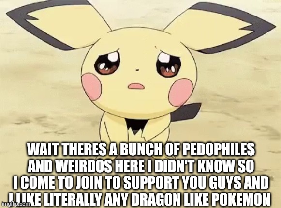 It’s not fun Sylveon….. | WAIT THERES A BUNCH OF PEDOPHILES AND WEIRDOS HERE I DIDN'T KNOW SO I COME TO JOIN TO SUPPORT YOU GUYS AND I LIKE LITERALLY ANY DRAGON LIKE POKEMON | image tagged in sad pichu | made w/ Imgflip meme maker