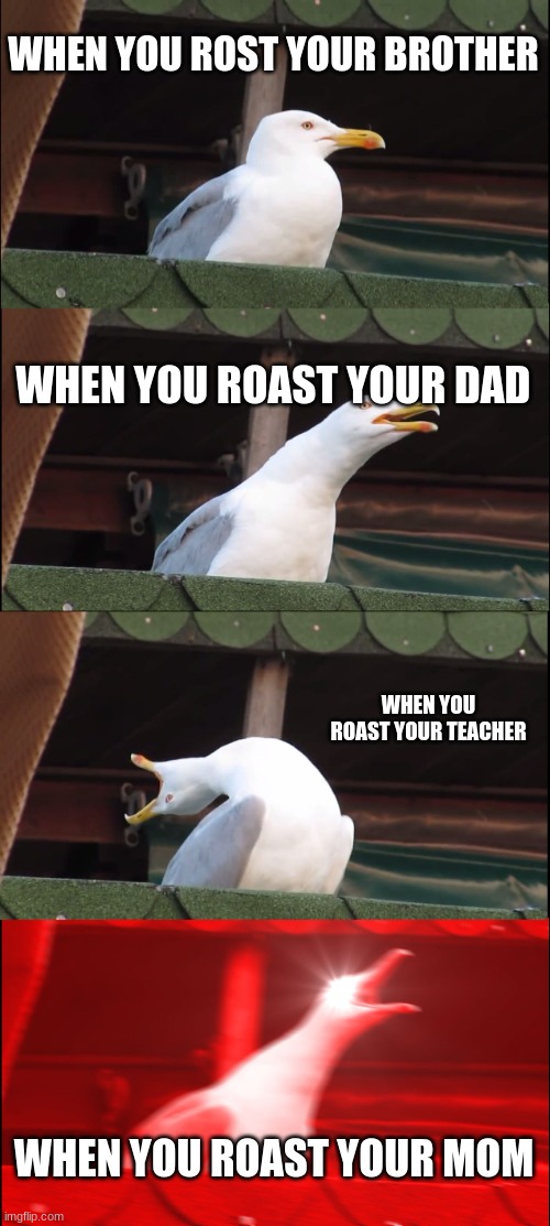 Inhaling Seagull Meme | WHEN YOU ROST YOUR BROTHER; WHEN YOU ROAST YOUR DAD; WHEN YOU ROAST YOUR TEACHER; WHEN YOU ROAST YOUR MOM | image tagged in memes,inhaling seagull | made w/ Imgflip meme maker