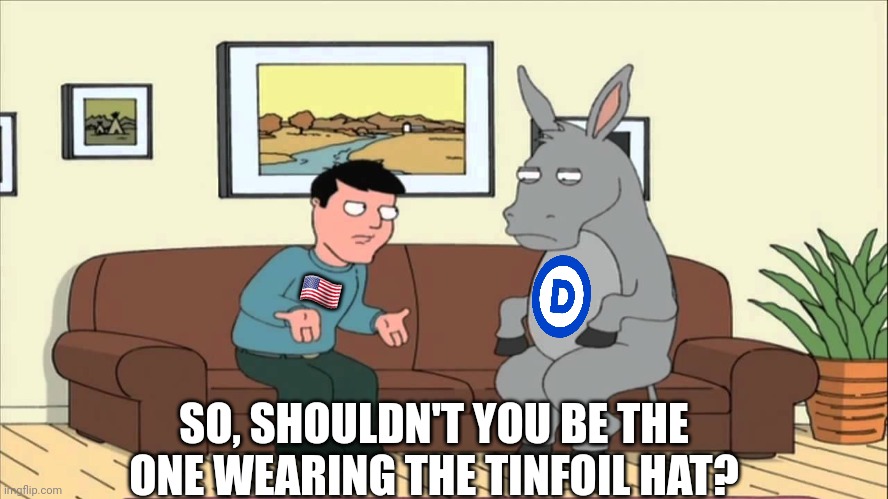 ?? SO, SHOULDN'T YOU BE THE ONE WEARING THE TINFOIL HAT? | made w/ Imgflip meme maker