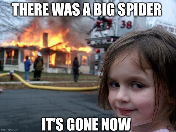 Disaster Girl | THERE WAS A BIG SPIDER; IT’S GONE NOW | image tagged in memes,disaster girl | made w/ Imgflip meme maker