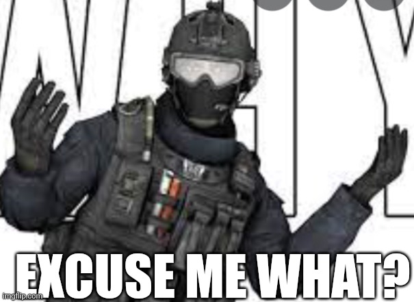 Russian  Badger | EXCUSE ME WHAT? | image tagged in russian badger | made w/ Imgflip meme maker