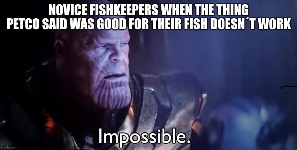 Everyone has had this phase lol | NOVICE FISHKEEPERS WHEN THE THING PETCO SAID WAS GOOD FOR THEIR FISH DOESN´T WORK | image tagged in thanos impossible,petco,aquarium | made w/ Imgflip meme maker