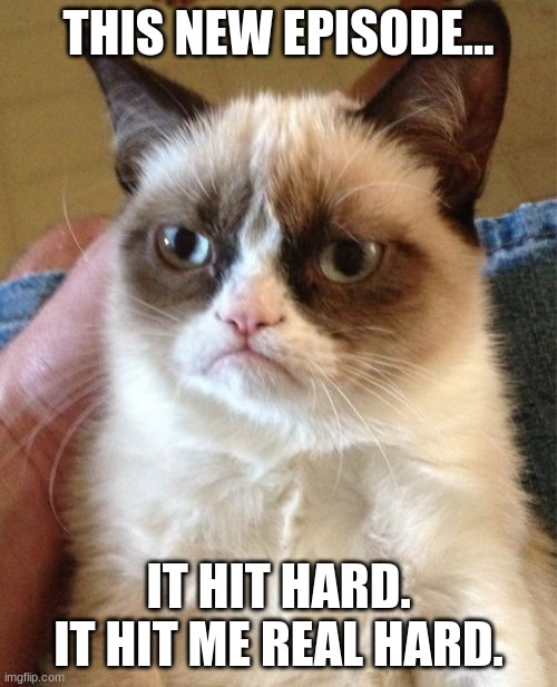 Grumpy Cat | THIS NEW EPISODE... IT HIT HARD. IT HIT ME REAL HARD. | image tagged in memes,grumpy cat | made w/ Imgflip meme maker