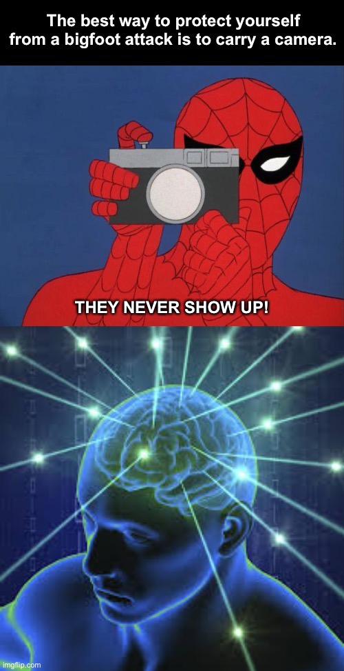 smooorrttt | The best way to protect yourself from a bigfoot attack is to carry a camera. THEY NEVER SHOW UP! | image tagged in memes,spiderman camera | made w/ Imgflip meme maker