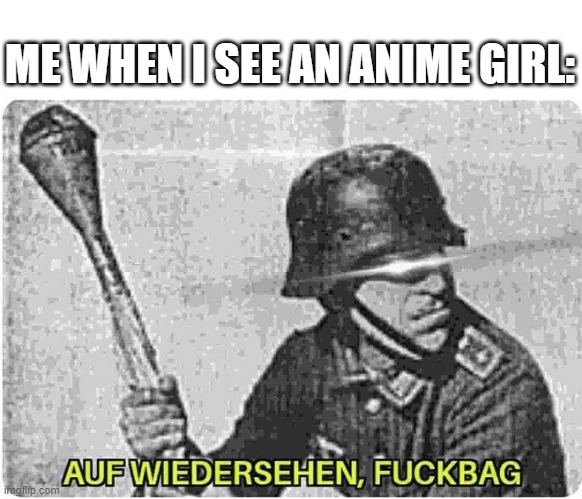 The German Army has joined the Anti-Anime Army | ME WHEN I SEE AN ANIME GIRL: | image tagged in auf wiedersehen | made w/ Imgflip meme maker