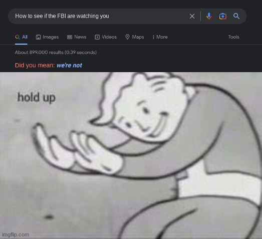 WTFFFFF | image tagged in fallout hold up,fbi | made w/ Imgflip meme maker