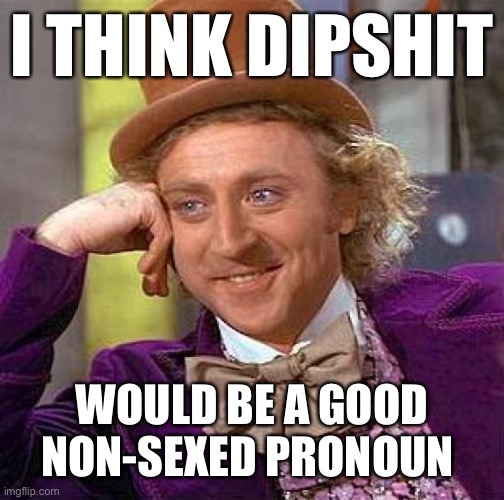 Dipshit | I THINK DIPSHIT; WOULD BE A GOOD NON-SEXED PRONOUN | image tagged in memes,creepy condescending wonka | made w/ Imgflip meme maker