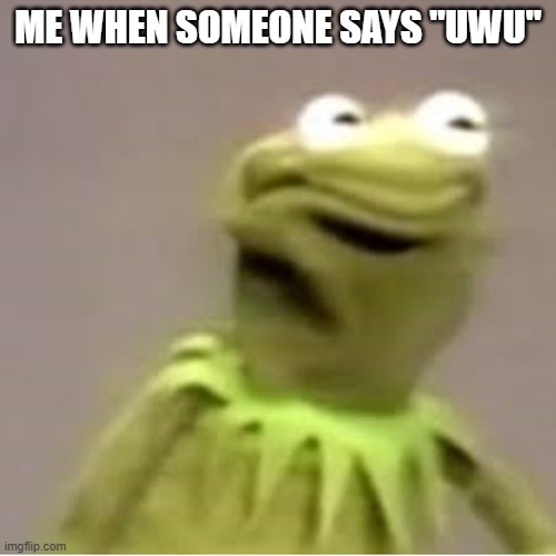 WHY!!!!!!! | ME WHEN SOMEONE SAYS "UWU" | image tagged in kermit the frog cringing | made w/ Imgflip meme maker