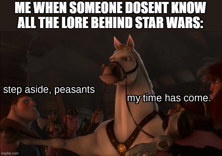 Step aside, peasants | ME WHEN SOMEONE DOSENT KNOW ALL THE LORE BEHIND STAR WARS: | image tagged in step aside peasants | made w/ Imgflip meme maker