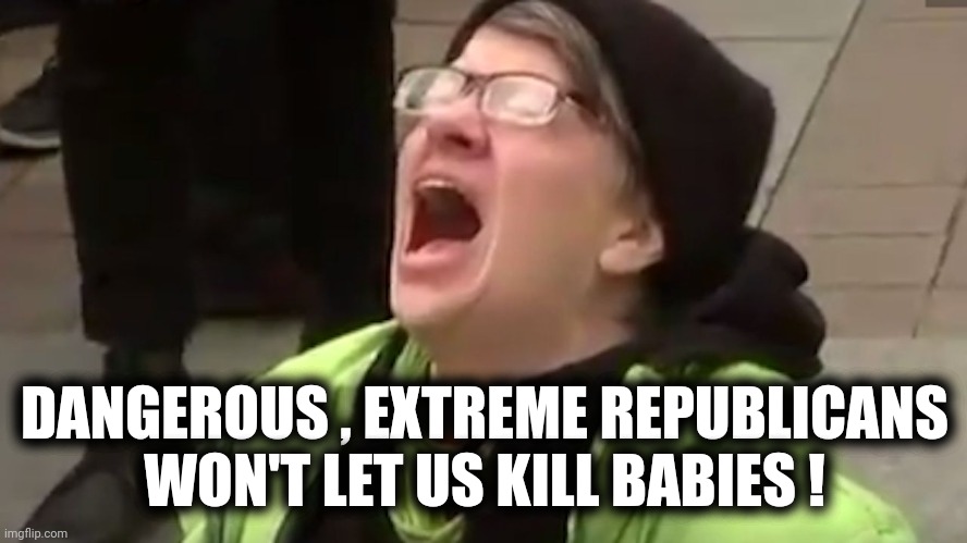 Screaming Liberal  | DANGEROUS , EXTREME REPUBLICANS WON'T LET US KILL BABIES ! | image tagged in screaming liberal | made w/ Imgflip meme maker