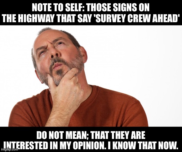 Survey | NOTE TO SELF: THOSE SIGNS ON THE HIGHWAY THAT SAY 'SURVEY CREW AHEAD'; DO NOT MEAN; THAT THEY ARE INTERESTED IN MY OPINION. I KNOW THAT NOW. | image tagged in hmmm | made w/ Imgflip meme maker