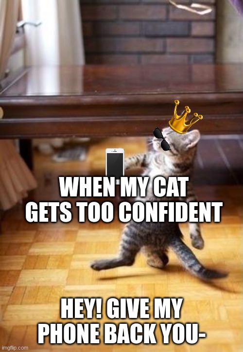 Cool Cat Stroll Meme | WHEN MY CAT GETS TOO CONFIDENT; HEY! GIVE MY PHONE BACK YOU- | image tagged in memes,cool cat stroll | made w/ Imgflip meme maker