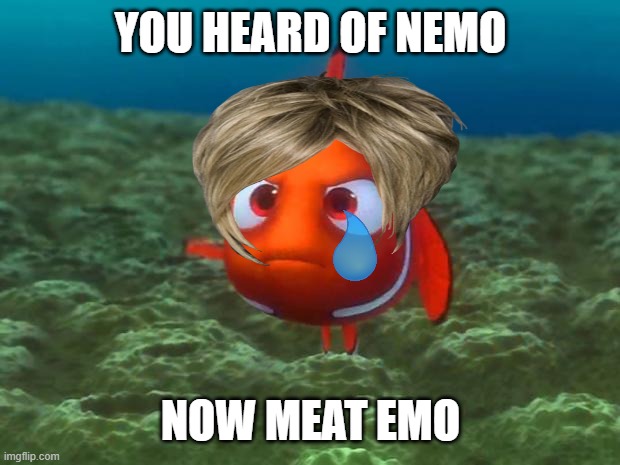 Nemo | YOU HEARD OF NEMO; NOW MEAT EMO | image tagged in nemo | made w/ Imgflip meme maker