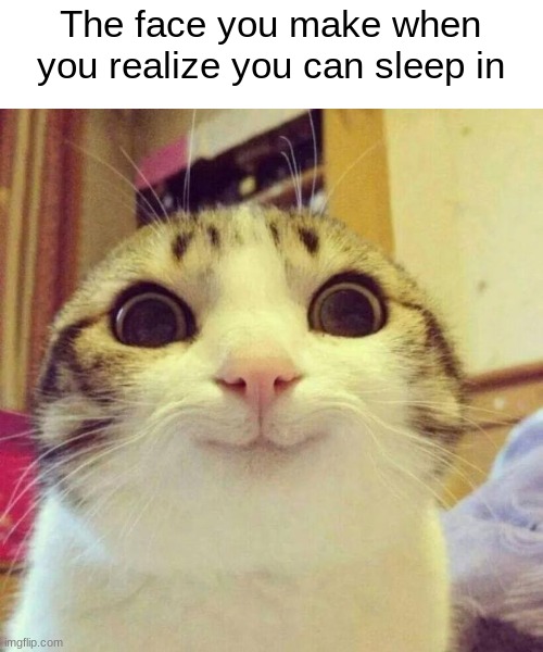 Smiling Cat Meme | The face you make when you realize you can sleep in | image tagged in memes,smiling cat | made w/ Imgflip meme maker