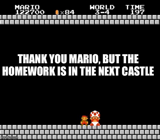 Random Mario Noisez | THANK YOU MARIO, BUT THE HOMEWORK IS IN THE NEXT CASTLE | image tagged in thank you mario | made w/ Imgflip meme maker