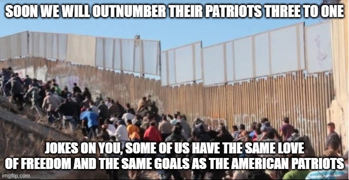 Not the diversity the left wanted |  SOON WE WILL OUTNUMBER THEIR PATRIOTS THREE TO ONE; JOKES ON YOU, SOME OF US HAVE THE SAME LOVE OF FREEDOM AND THE SAME GOALS AS THE AMERICAN PATRIOTS | image tagged in illegal immigrants,diversity,patriots,america first,new allies,protect and serve | made w/ Imgflip meme maker