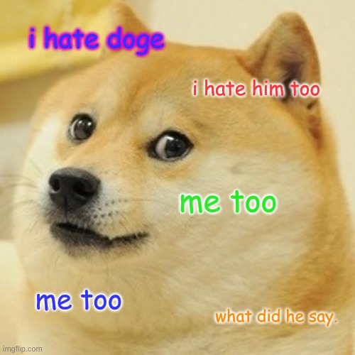 what did he say | i hate doge; i hate him too; me too; me too; what did he say. | image tagged in memes,doge | made w/ Imgflip meme maker