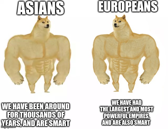 yes, 4 european countries are on the top 10 for iq | EUROPEANS; ASIANS; WE HAVE BEEN AROUND FOR THOUSANDS OF YEARS, AND ARE SMART; WE HAVE HAD THE LARGEST AND MOST POWERFUL EMPIRES, AND ARE ALSO SMART | image tagged in swole doge vs swole doge | made w/ Imgflip meme maker