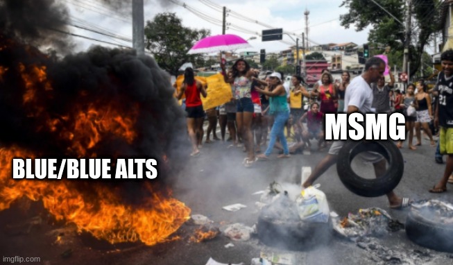 Haha Blue alt banning go brrrrrrr | MSMG; BLUE/BLUE ALTS | image tagged in crowd blowing up something | made w/ Imgflip meme maker