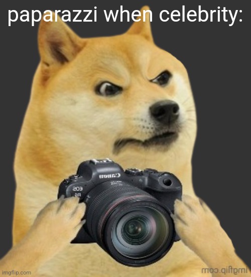 Doge camera | paparazzi when celebrity: | image tagged in doge camera | made w/ Imgflip meme maker