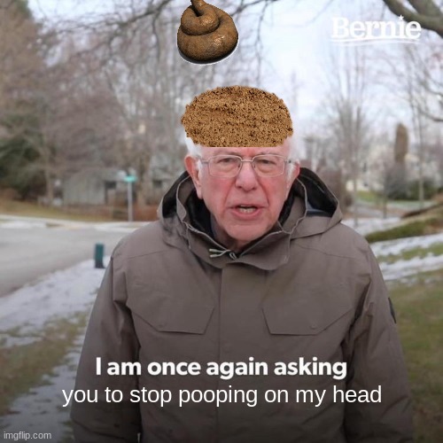 poop | you to stop pooping on my head | image tagged in memes,bernie i am once again asking for your support,poop,dirt,stink,stinky | made w/ Imgflip meme maker