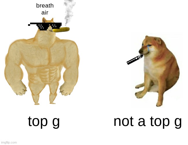 bretajsdnf | breath
air; top g; not a top g | image tagged in memes,buff doge vs cheems | made w/ Imgflip meme maker