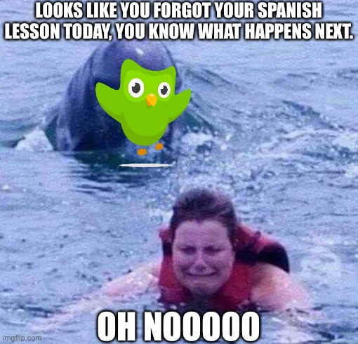 Looks Like you Forgot your Spanish Lesson Today! | LOOKS LIKE YOU FORGOT YOUR SPANISH LESSON TODAY, YOU KNOW WHAT HAPPENS NEXT. OH NOOOOO | image tagged in dangerous dolphin,memes,duolingo bird,duolingo,your gonna learn today,funny | made w/ Imgflip meme maker
