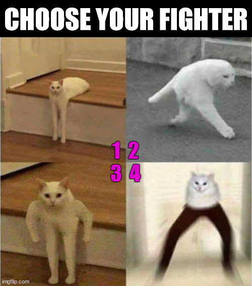 CHOOSE YOUR FIGHTER; 1  2
3  4 | image tagged in fighting | made w/ Imgflip meme maker