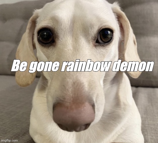 homophobic dog | Be gone rainbow demon | image tagged in homophobic dog | made w/ Imgflip meme maker
