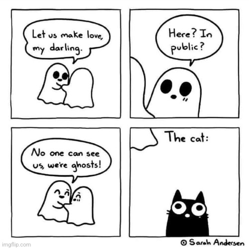SNEAKY KITTY | image tagged in cats,ghosts,comics/cartoons,spooktober | made w/ Imgflip meme maker