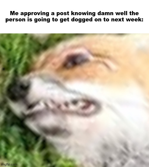 Yikes... | Me approving a post knowing damn well the person is going to get dogged on to next week: | image tagged in yikes fox | made w/ Imgflip meme maker