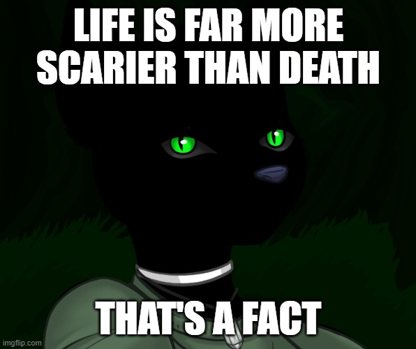E | LIFE IS FAR MORE SCARIER THAN DEATH; THAT'S A FACT | image tagged in my new panther fursona | made w/ Imgflip meme maker