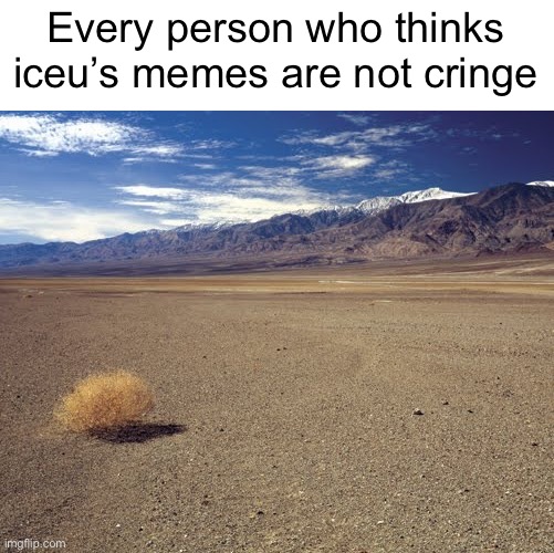 desert tumbleweed | Every person who thinks iceu’s memes are not cringe | image tagged in desert tumbleweed | made w/ Imgflip meme maker