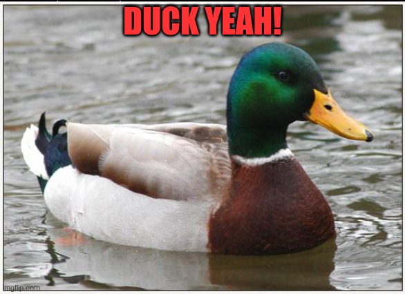 Actual Advice Mallard | DUCK YEAH! | image tagged in memes,actual advice mallard | made w/ Imgflip meme maker