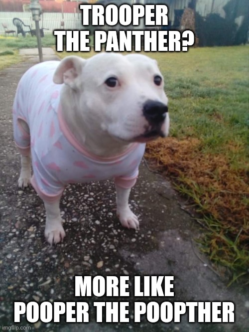 High quality Huh Dog | TROOPER THE PANTHER? MORE LIKE POOPER THE POOPTHER | image tagged in high quality huh dog | made w/ Imgflip meme maker