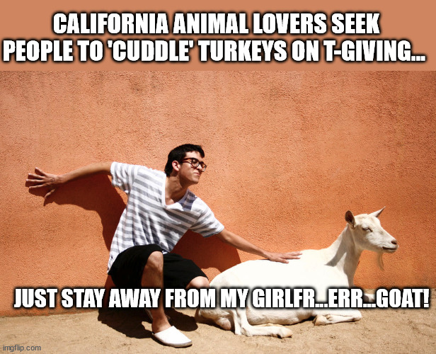 CALIFORNIA ANIMAL LOVERS SEEK PEOPLE TO 'CUDDLE' TURKEYS ON T-GIVING... JUST STAY AWAY FROM MY GIRLFR...ERR...GOAT! | image tagged in beastiality | made w/ Imgflip meme maker
