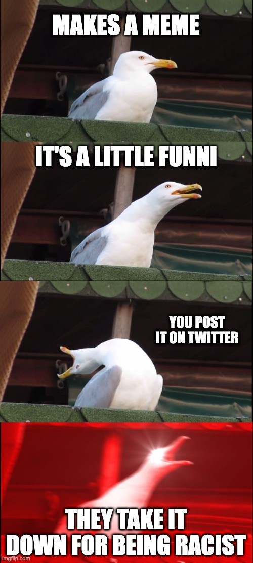 Inhaling Seagull Meme | MAKES A MEME; IT'S A LITTLE FUNNI; YOU POST IT ON TWITTER; THEY TAKE IT DOWN FOR BEING RACIST | image tagged in memes,inhaling seagull | made w/ Imgflip meme maker