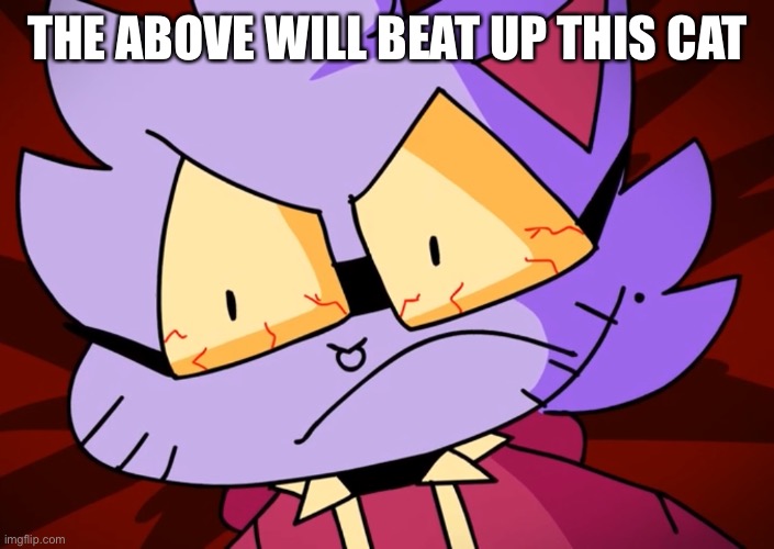 Angy cat | THE ABOVE WILL BEAT UP THIS CAT | image tagged in angy cat | made w/ Imgflip meme maker