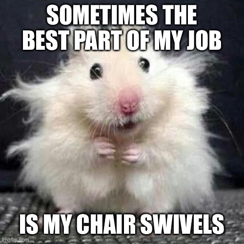 Job | SOMETIMES THE BEST PART OF MY JOB; IS MY CHAIR SWIVELS | image tagged in stressed mouse | made w/ Imgflip meme maker